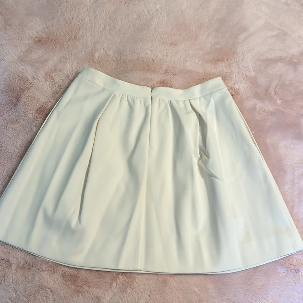 J. Crew Skirt